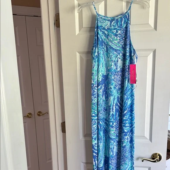Lilly Pulitzer Blue and Green Maxi Dress - Picture 1 of 8
